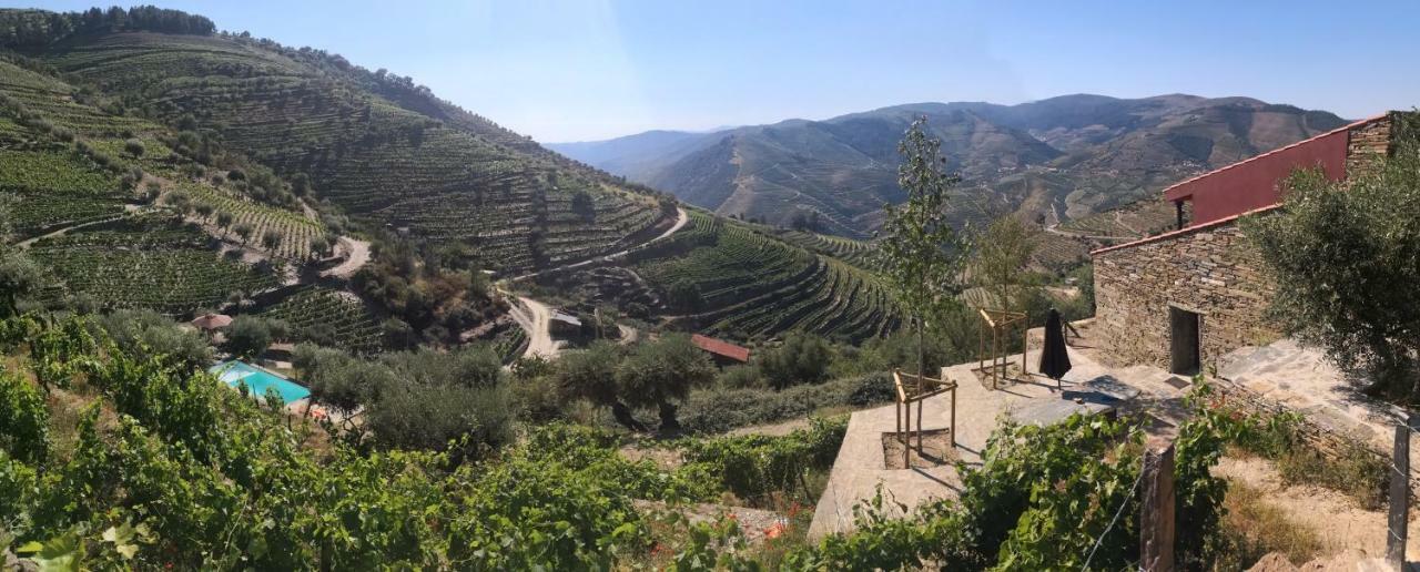 Quinta Das Fontainhas - Douro Valley Villa Tabuaço Exterior foto