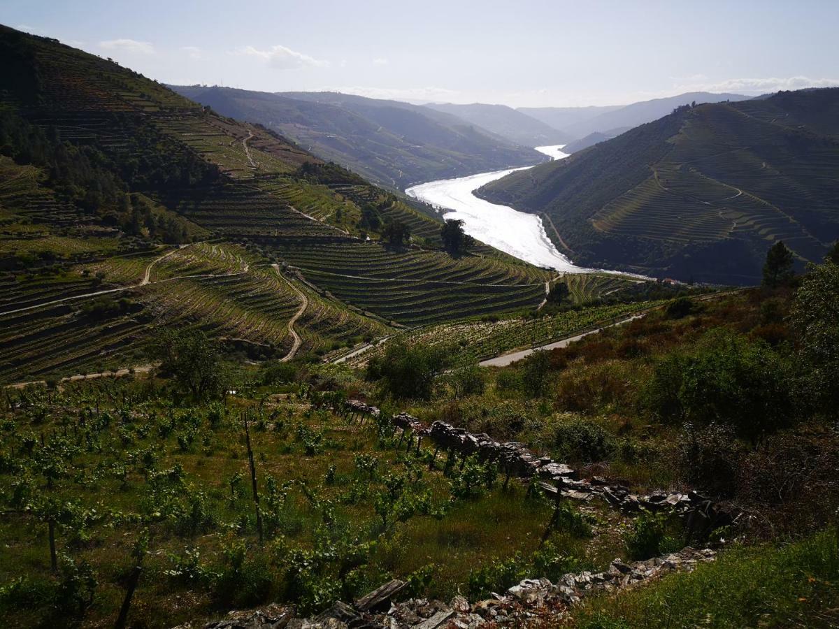 Quinta Das Fontainhas - Douro Valley Villa Tabuaço Exterior foto