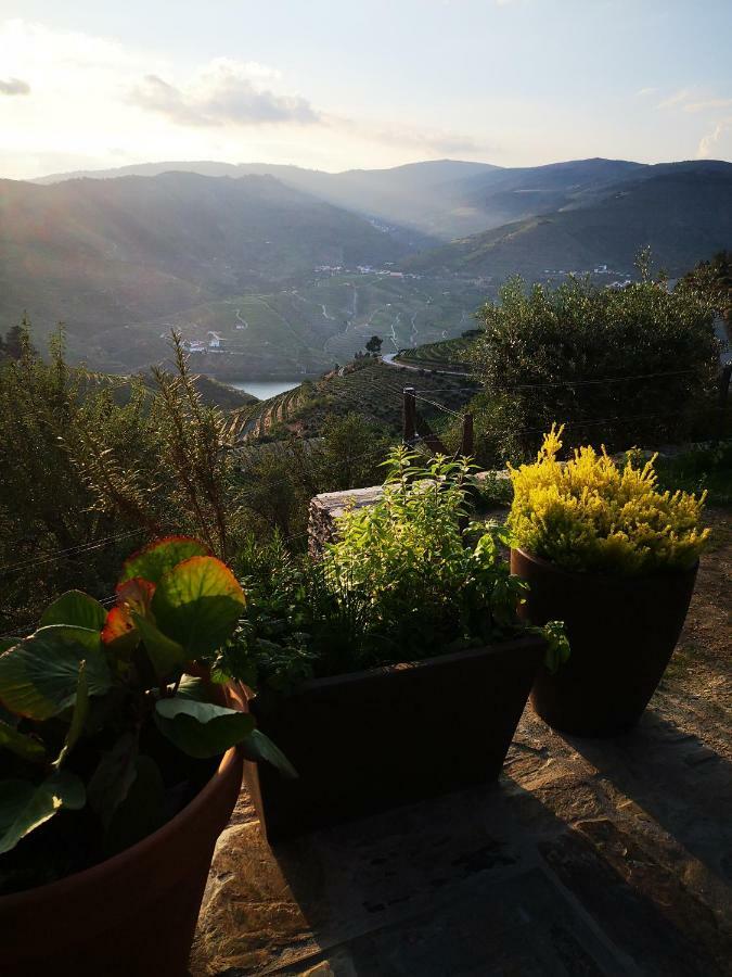 Quinta Das Fontainhas - Douro Valley Villa Tabuaço Exterior foto